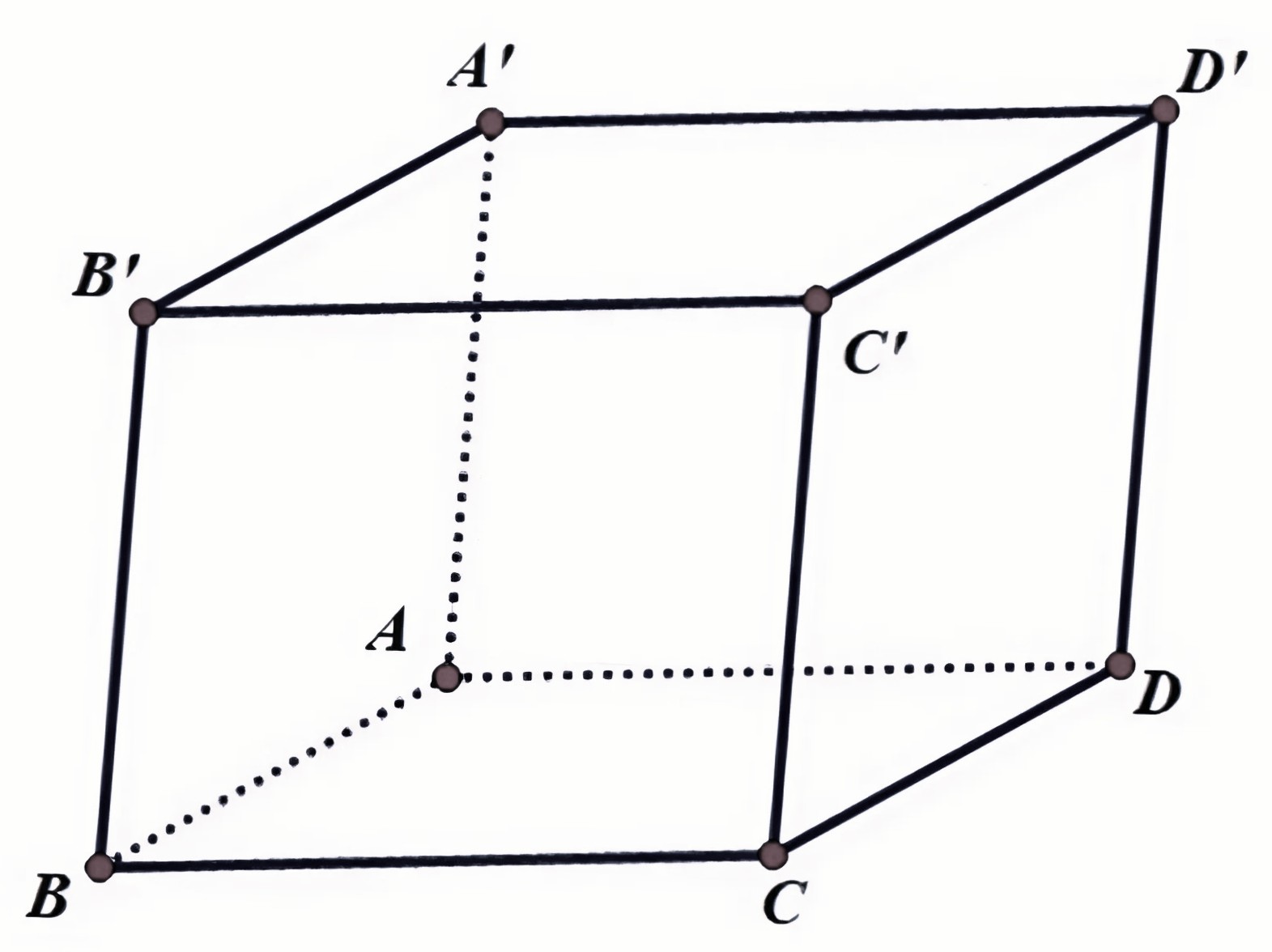 Hình câu 8