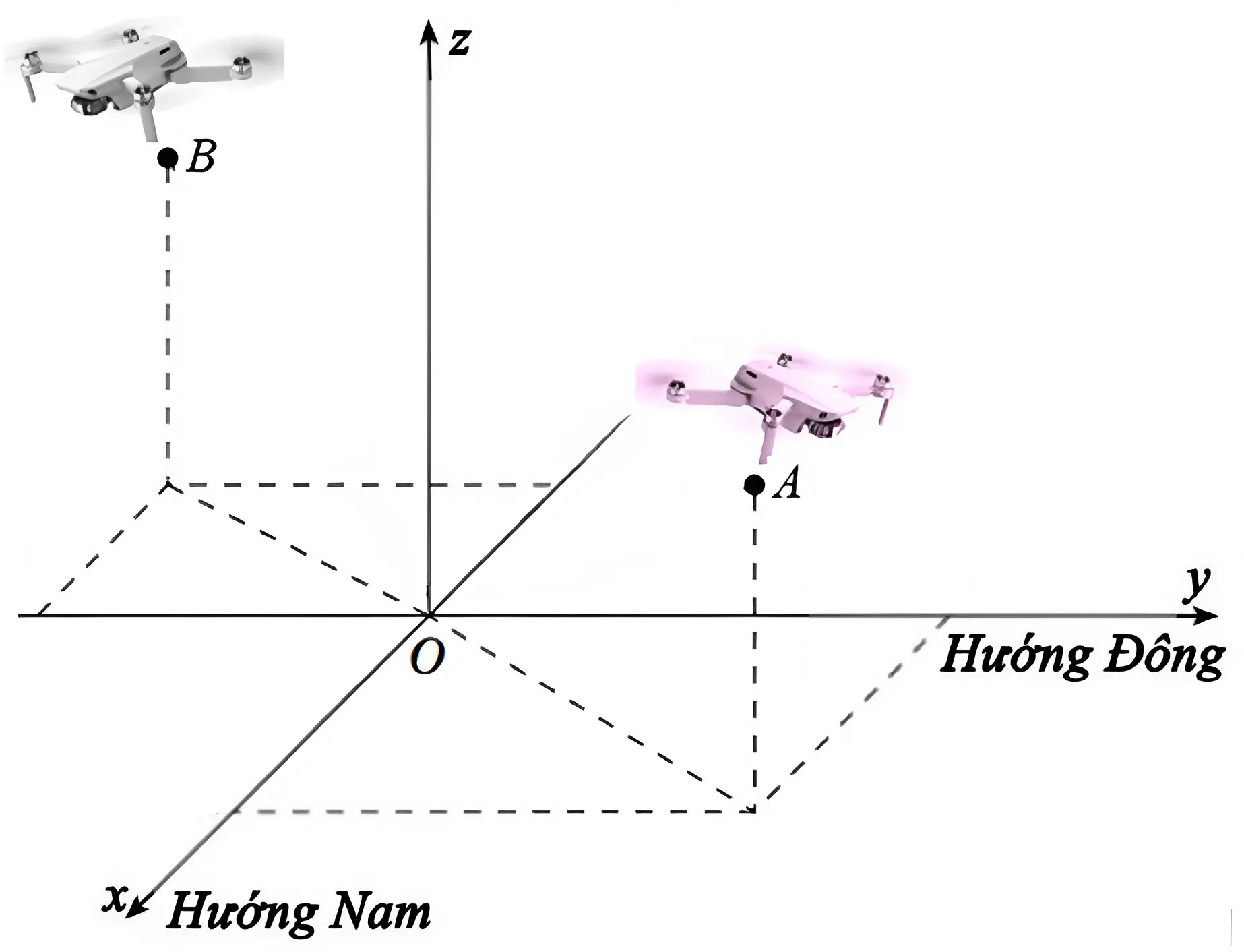 Hình câu 19