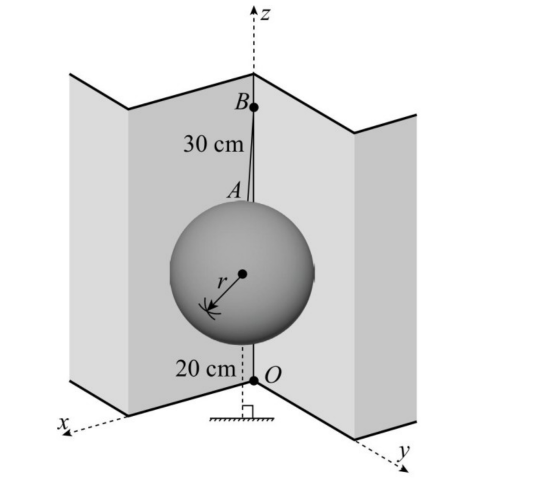 Hình câu 22