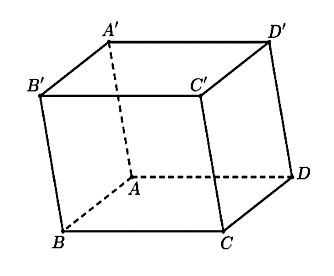 Hình câu 12
