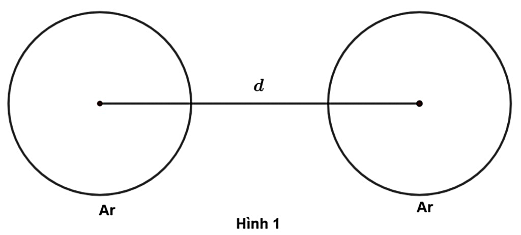 Hình câu 20