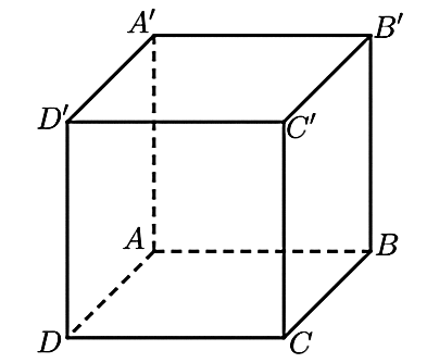 Hình câu 6