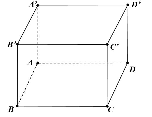 Hình câu 6