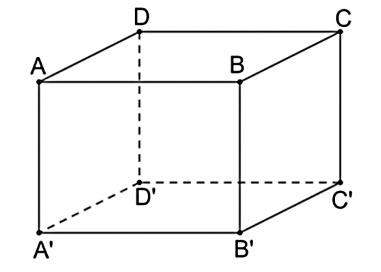 Hình câu 8