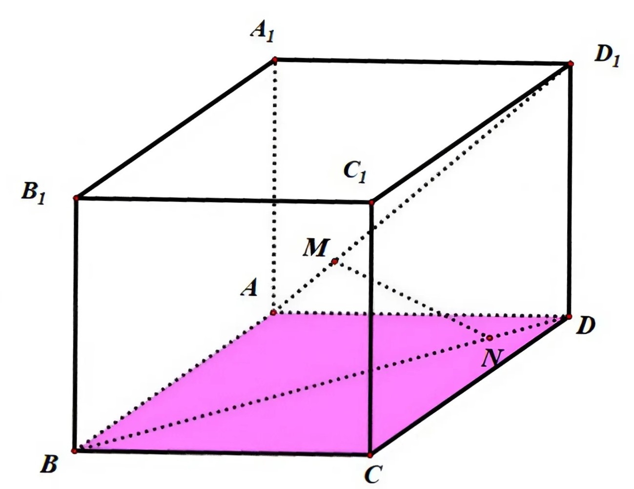 Hình câu 22
