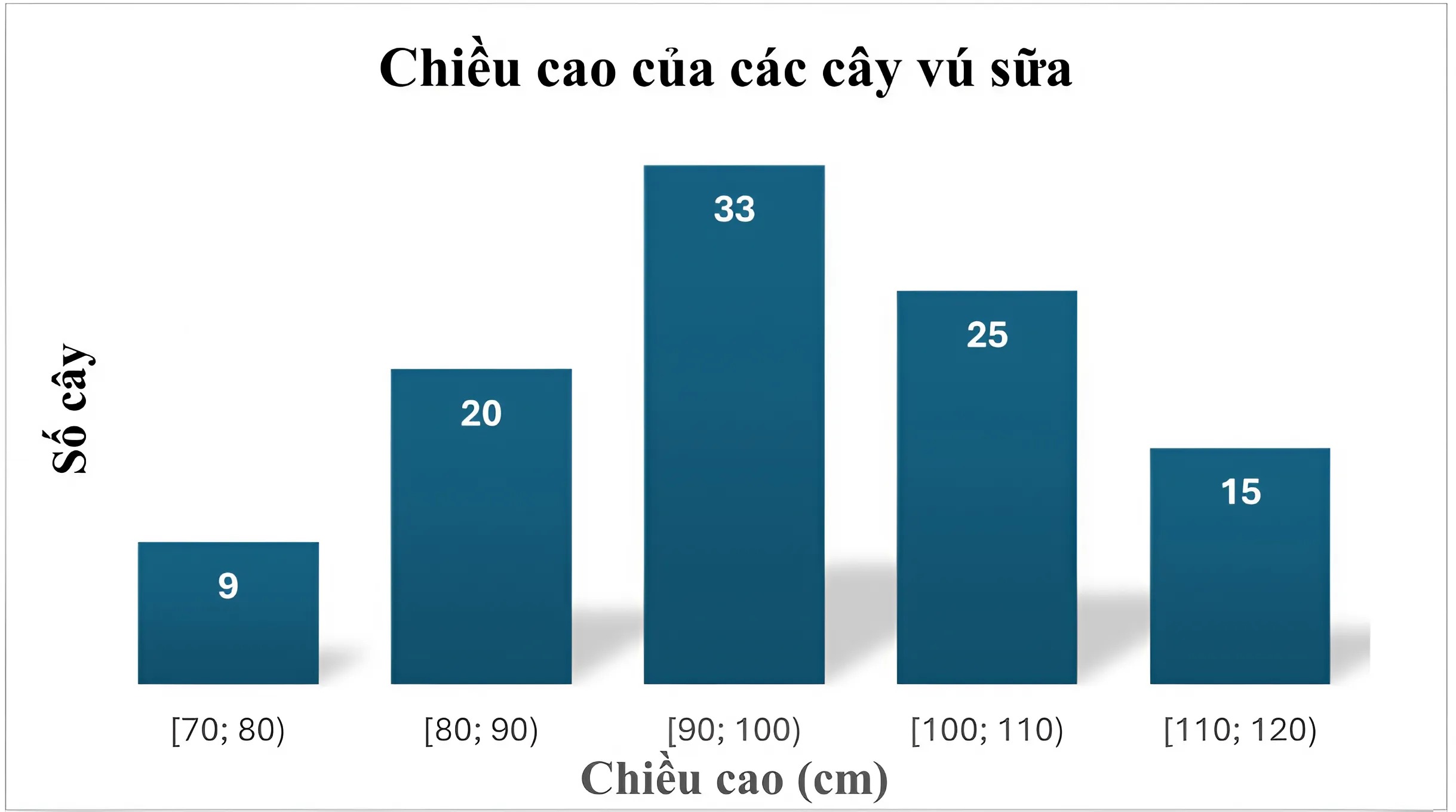 Hình câu 16