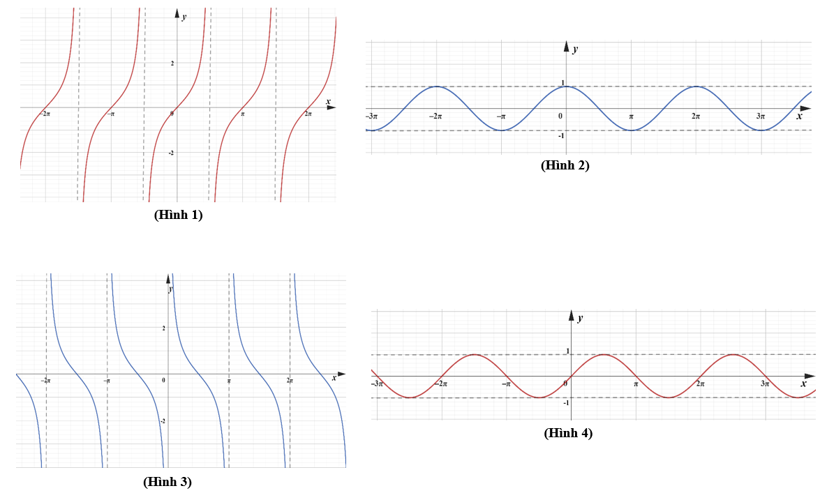 Hình câu 7