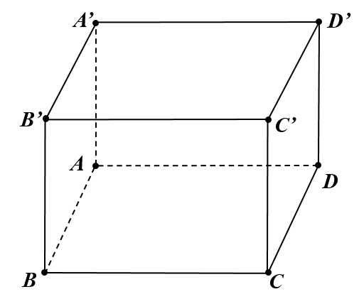 Hình câu 11