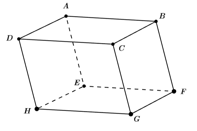 Hình câu 10