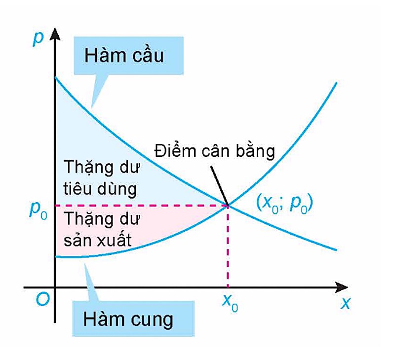 Hình câu 16