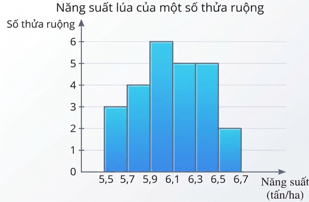 Hình câu 18