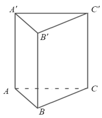 Hình câu 6