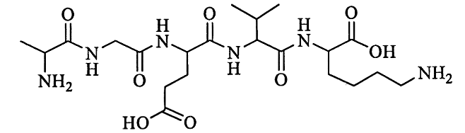 Hình câu 25