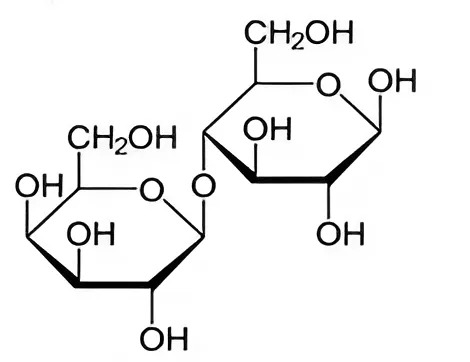 Hình câu 21