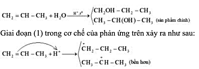 Hình câu 13