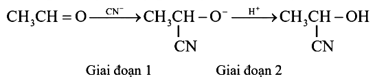 Hình câu 10