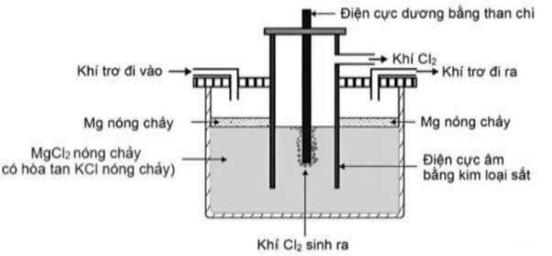 Hình câu 19