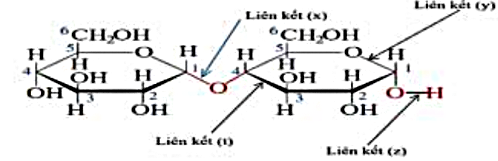Hình câu 2