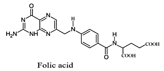 Hình câu 22
