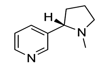 Hình câu 18