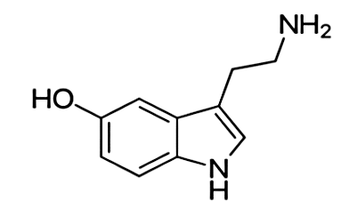 Hình câu 19