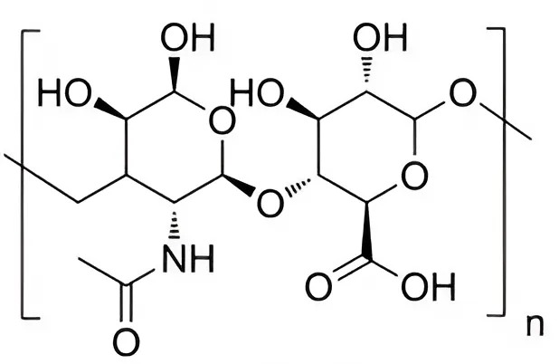 Hình câu 25
