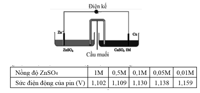 Hình câu 21