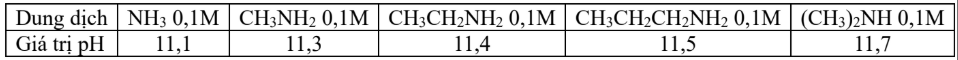 Hình câu 19