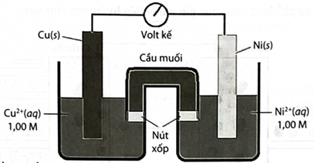 Hình câu 21