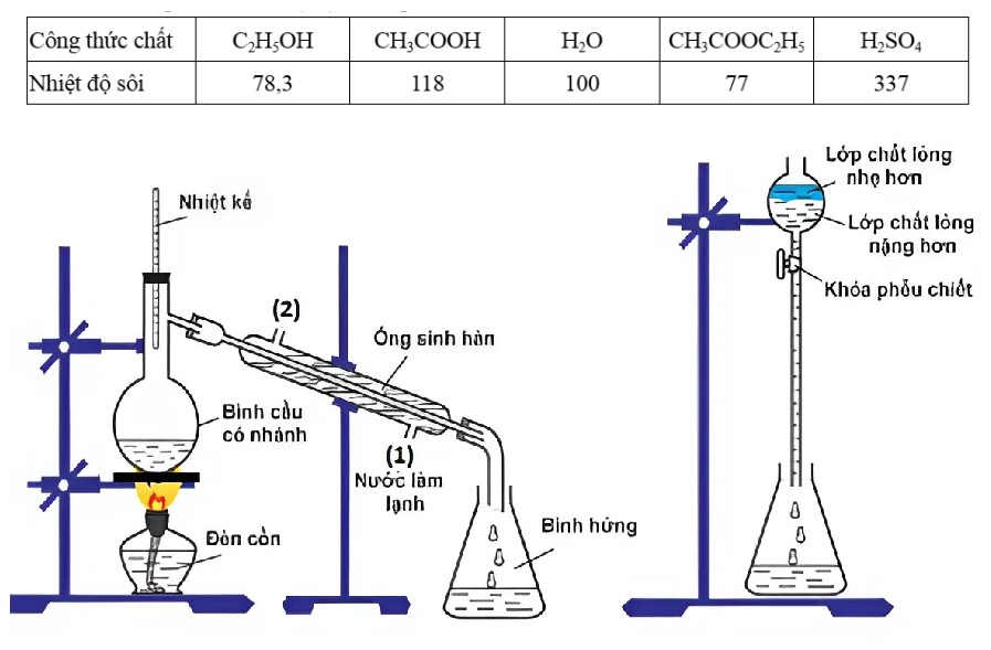 Hình câu 20