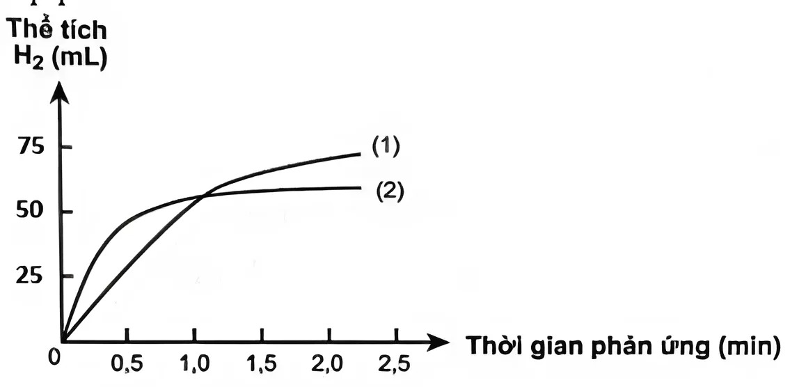 Hình câu 22