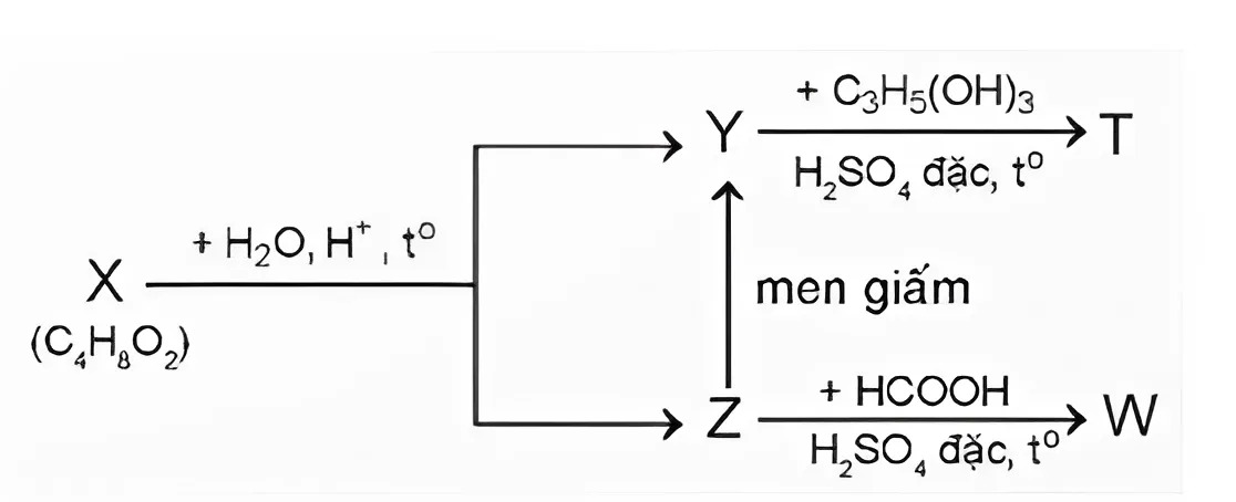 Hình câu 26