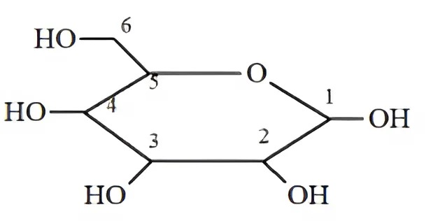 Hình câu 7