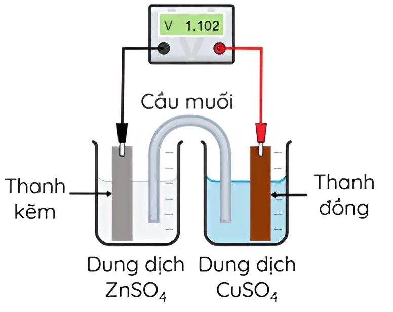 Hình câu 19