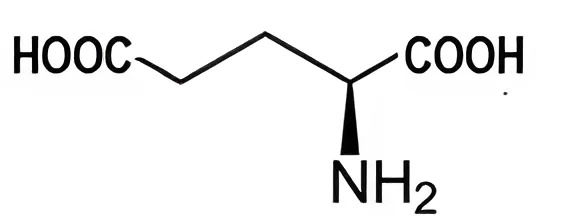Hình câu 20