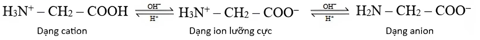 Hình câu 16