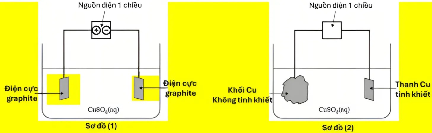Hình câu 22