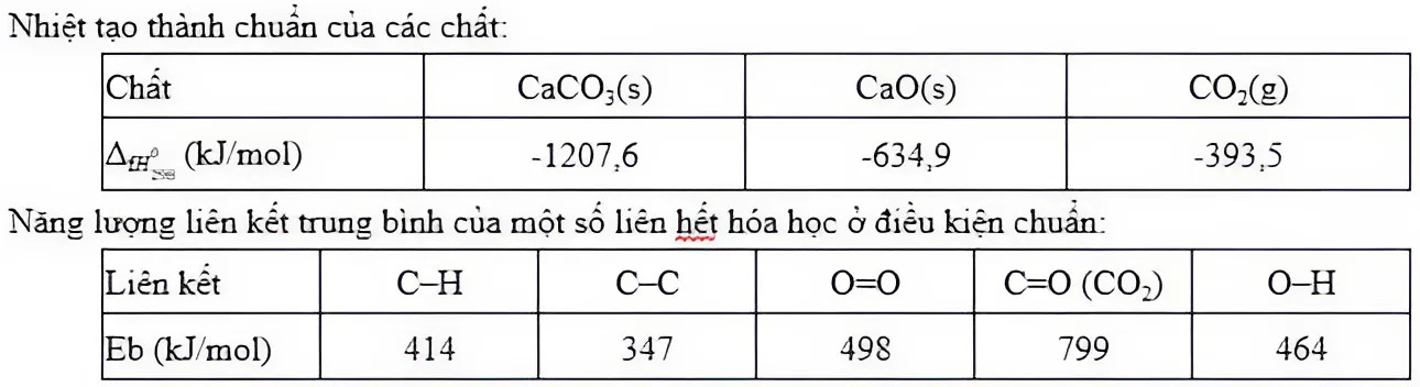 Hình câu 27