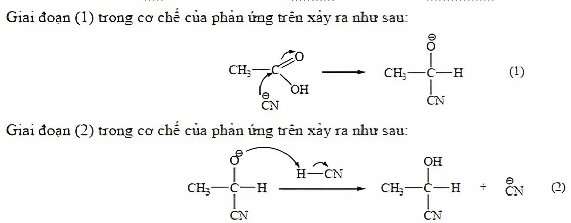 Hình câu 3