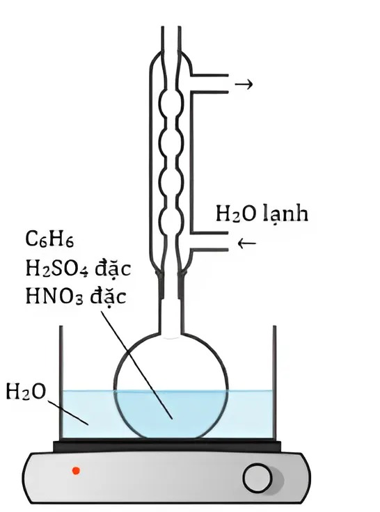 Hình câu 17