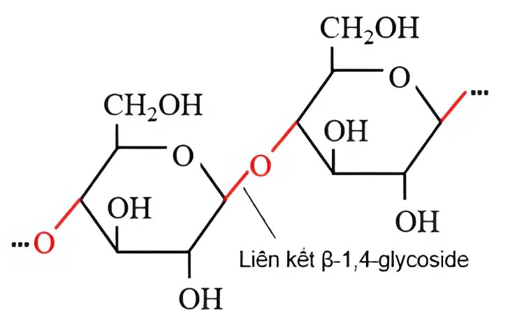 Hình câu 19