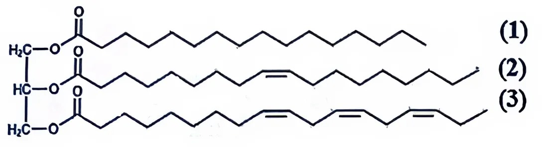 Hình câu 20