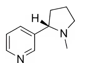 Hình câu 13