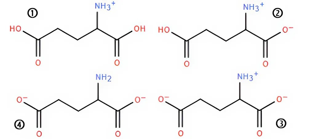 Hình câu 27