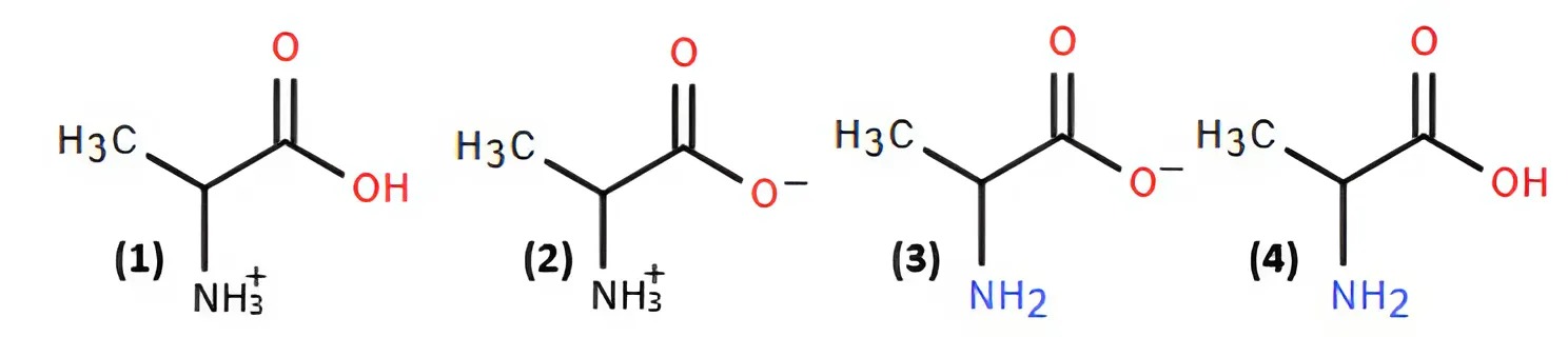 Hình câu 3
