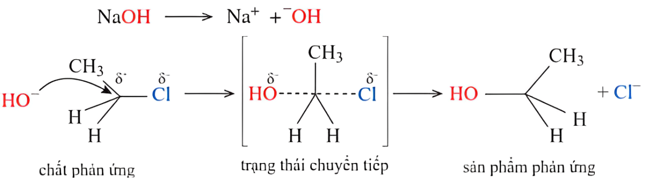 Hình câu 10