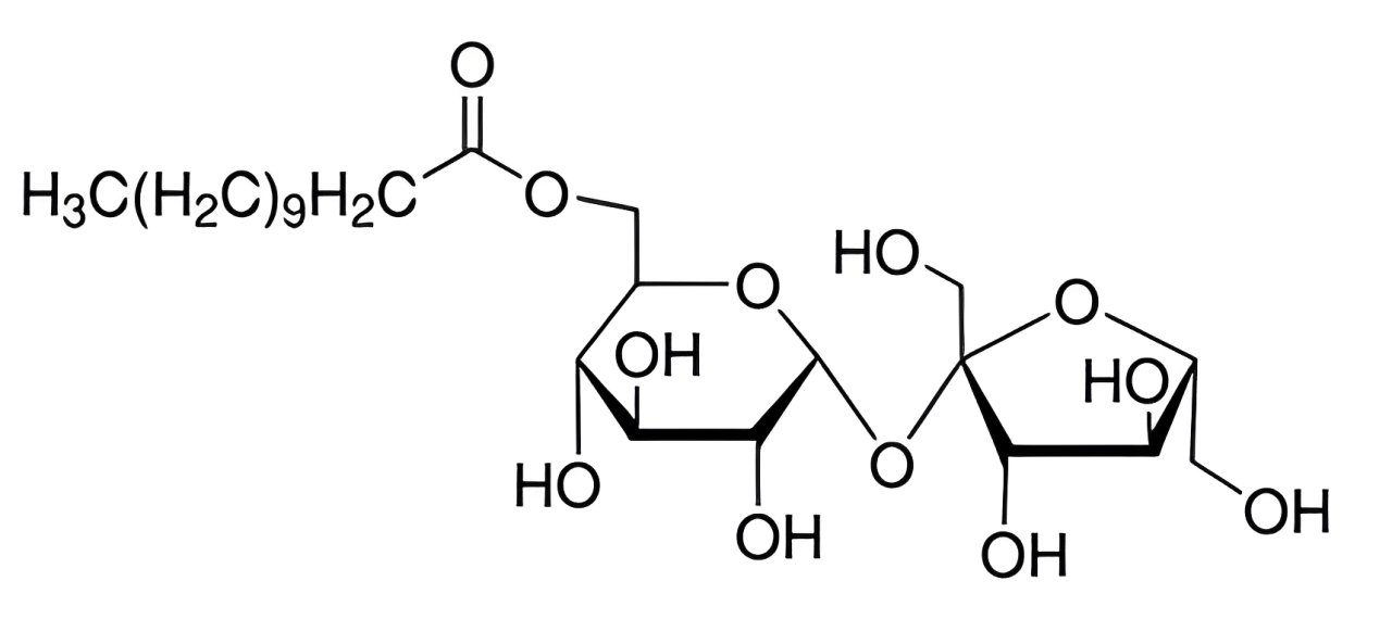 Hình câu 20