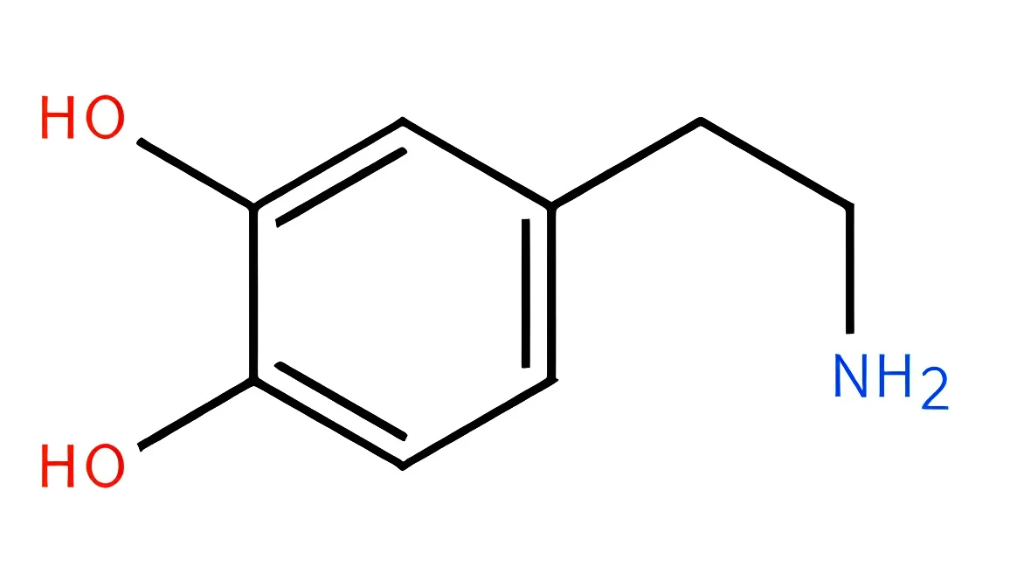 Hình câu 27