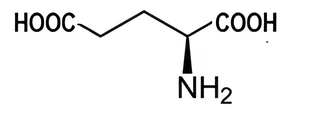Hình câu 21