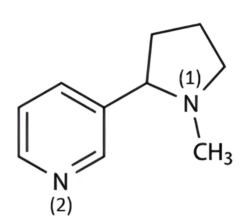 Hình câu 26